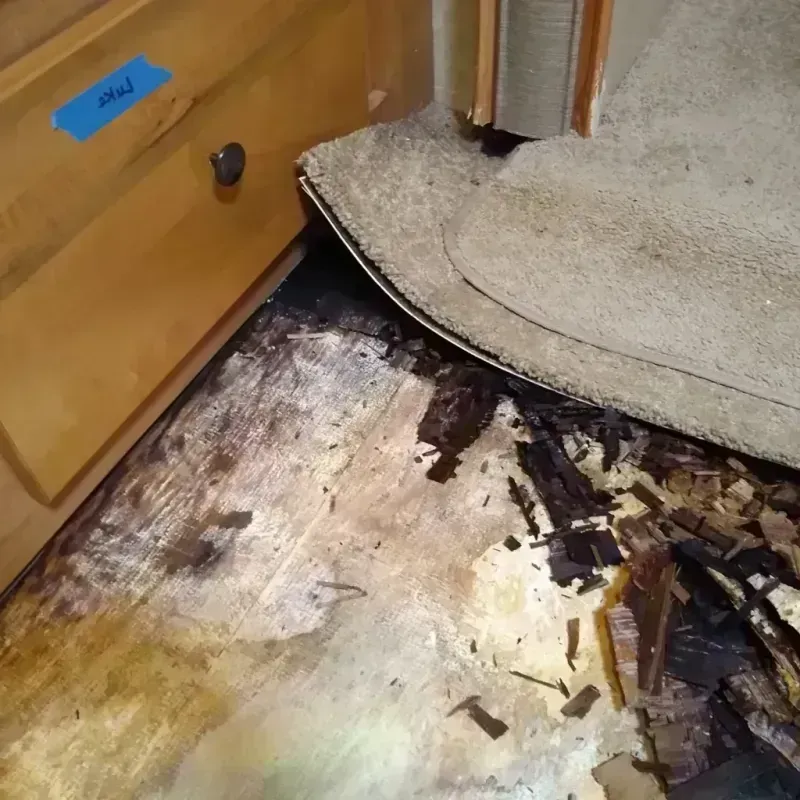 Wood Floor Water Damage in Glenn County, CA